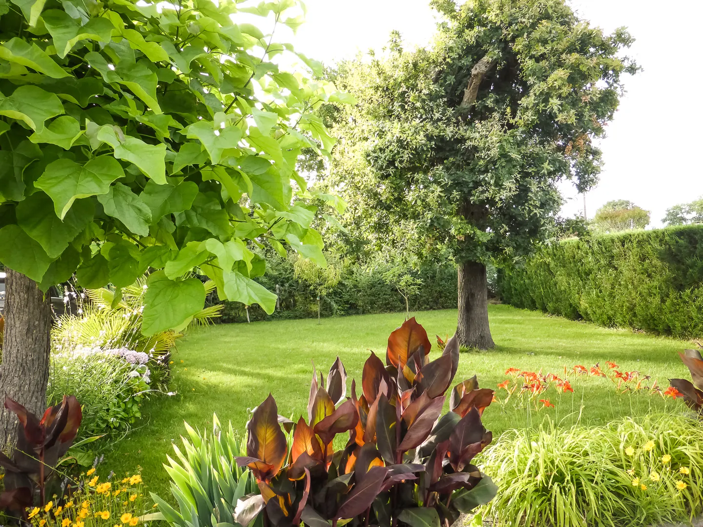 Jardin devant la maison